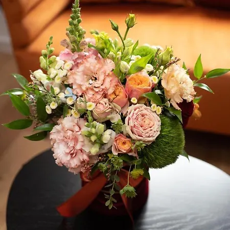 Schoeps By Renters 4*