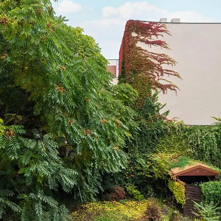 Schoeps By Renters 4*